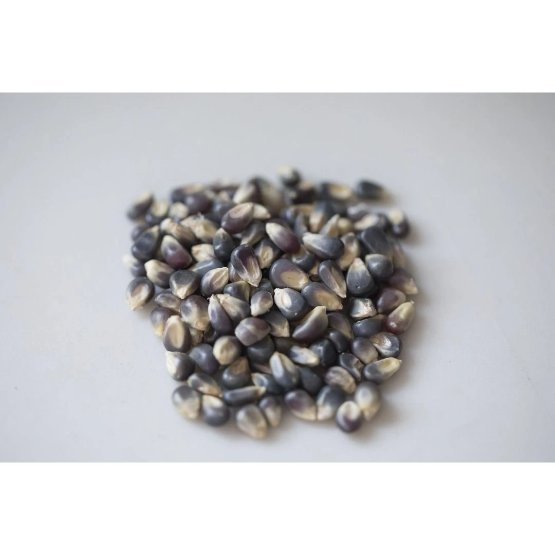 Amish Country Popcorn Midnight Blue Popcorn, MB-16012, 2 LB Bag - Image 2